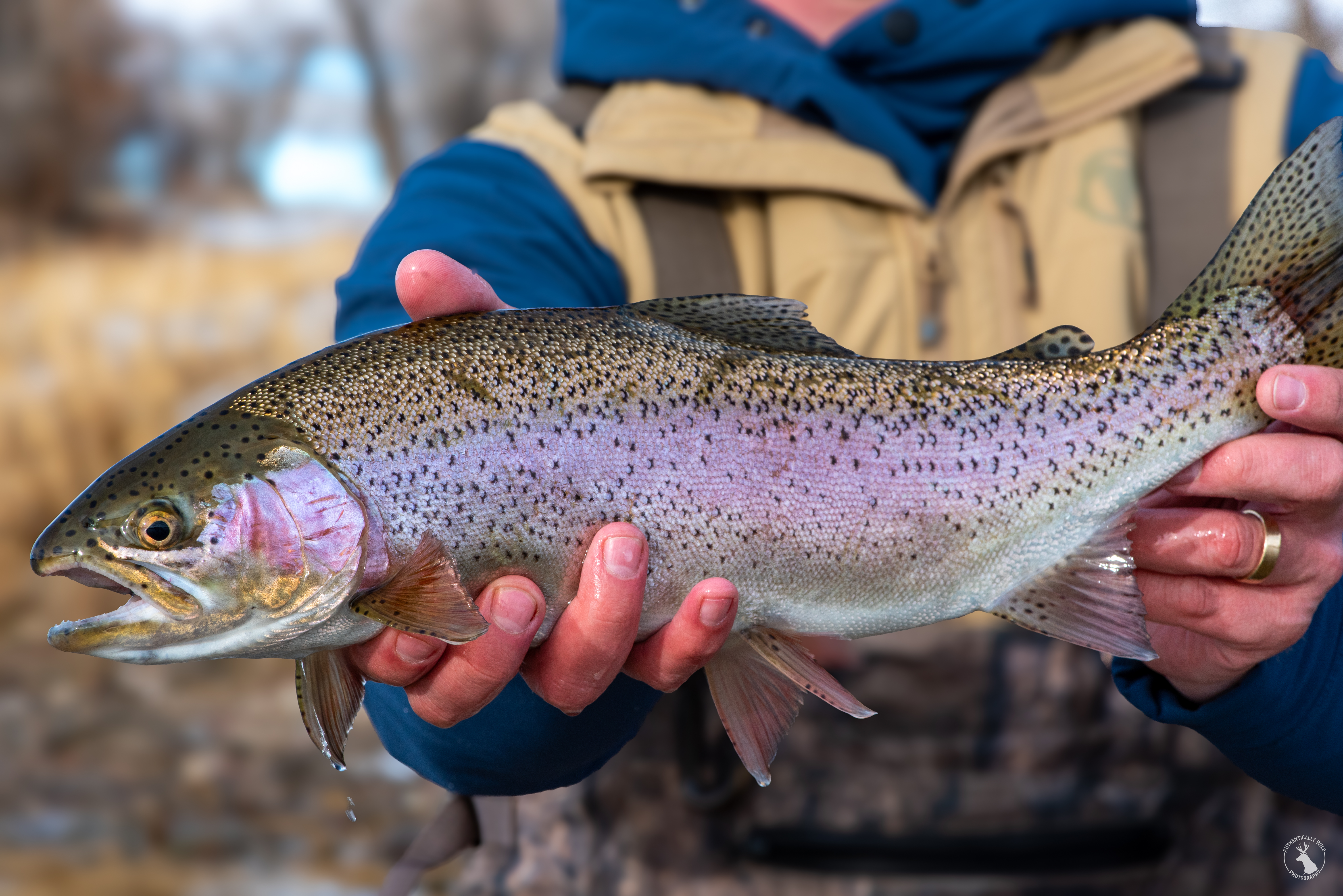 Fish More, My Friends