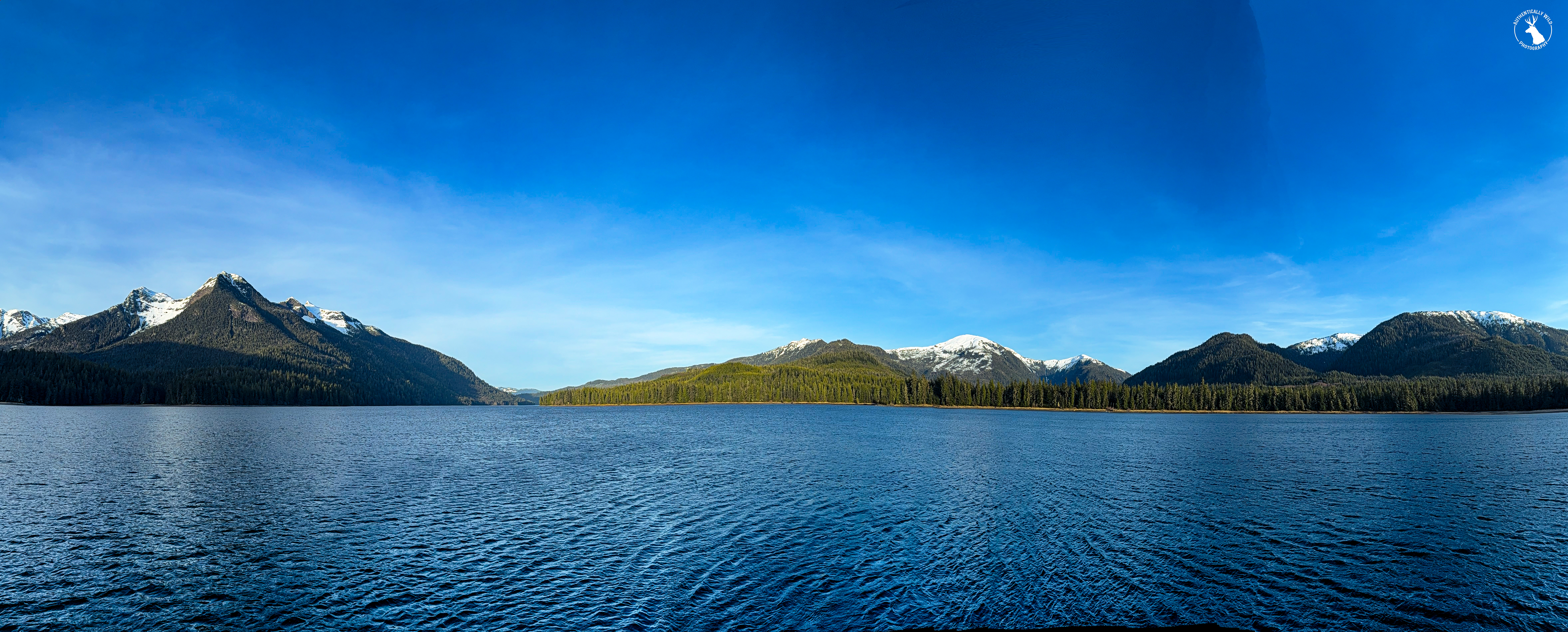 Home in the Real